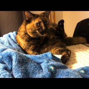 Meet your Posher, Holly